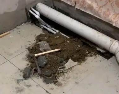 渝水卫生间漏水检测哪家好