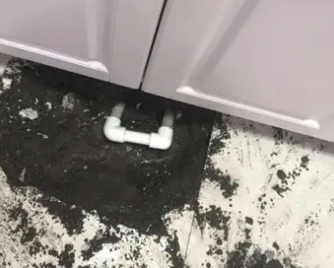 渝水查漏水哪家好